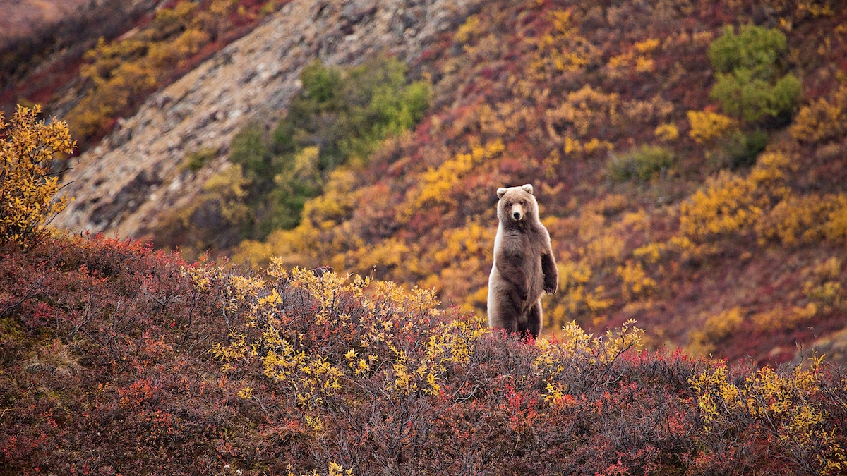 11 national parks that have the best fall foliage