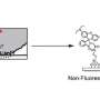 Detailed insight into friction: How objects start to slide