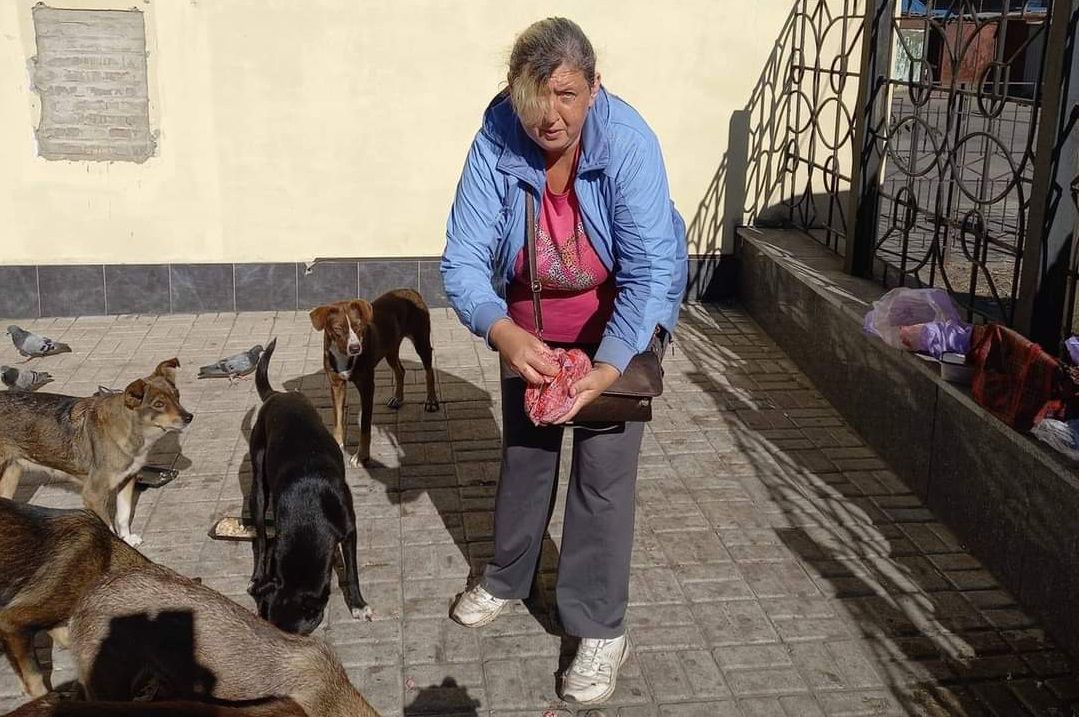 Woman Feeds Dozens of Strays on Streets of Ukraine