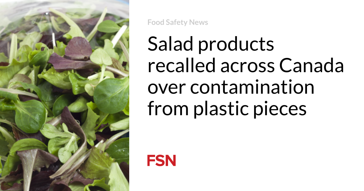 Salad products recalled across Canada over contamination from plastic pieces