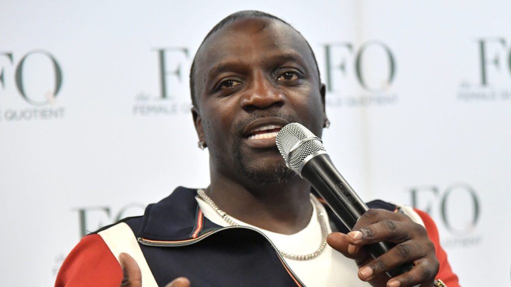 Akon Says He And Michael Jackson Discussed Opening Music Schools In Africa