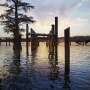 Salt water creeps toward New Orleans up Mississippi River