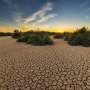 Climate change made summer drought 20 times more likely