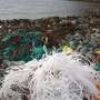 740,000 km of fishing line and 14 billion hooks lost at sea each year