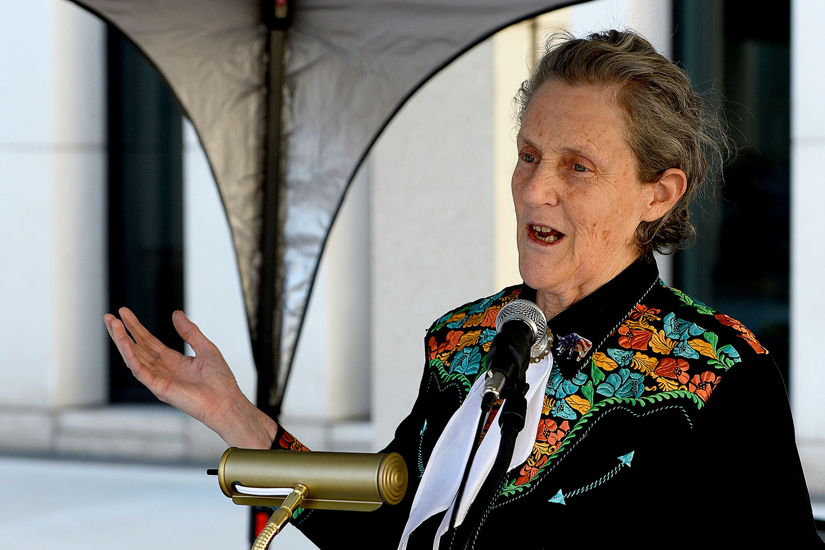 You’re a genius, you just don’t know it: Temple Grandin on how “visual thinkers” see the world